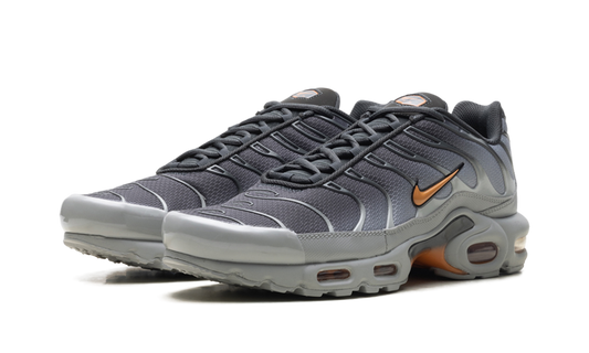 Air Max Plus "Light Smoke Grey Hot Curry" DM0032 037