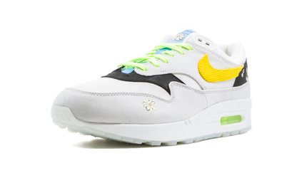 Air Max 1 "Daisy Pack" CW6031 100